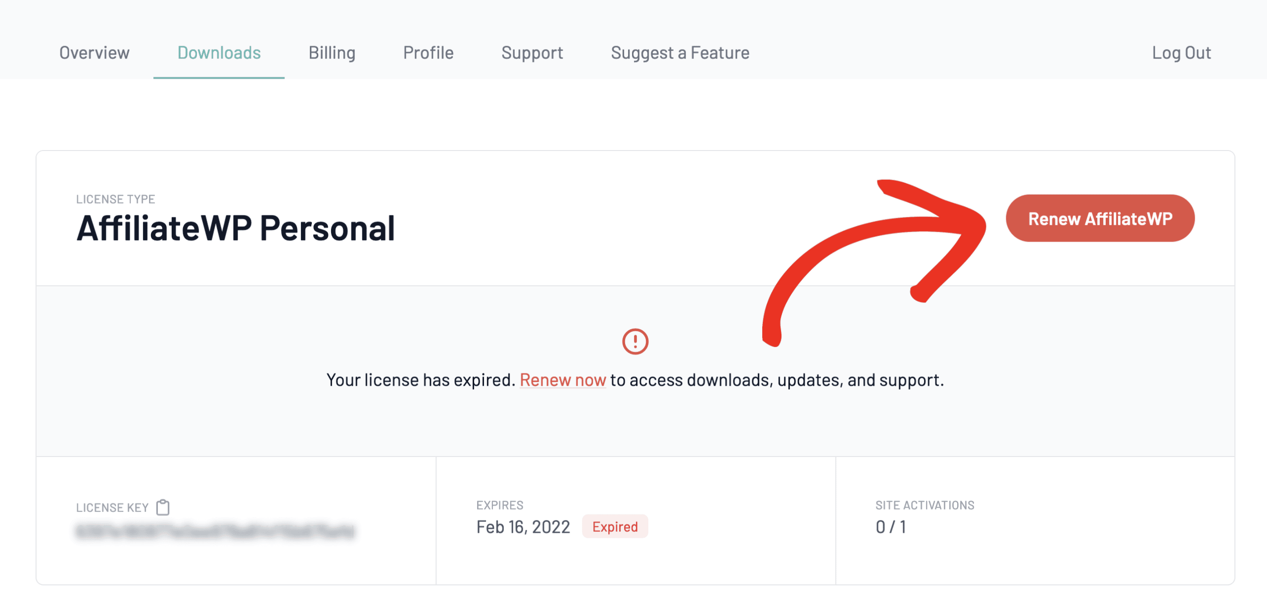 ダウンロードタブの「AffiliateWPを更新」ボタンをクリック