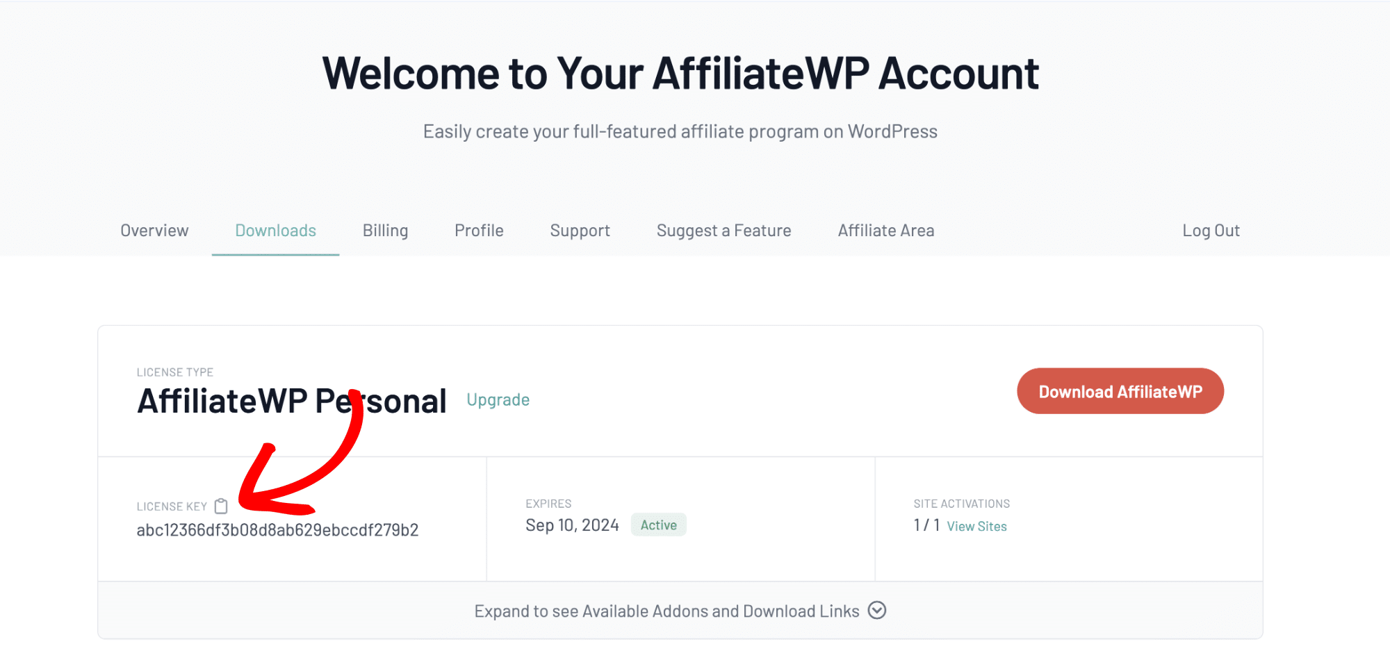Copie d’une clé de licence depuis la page Compte AffiliateWP